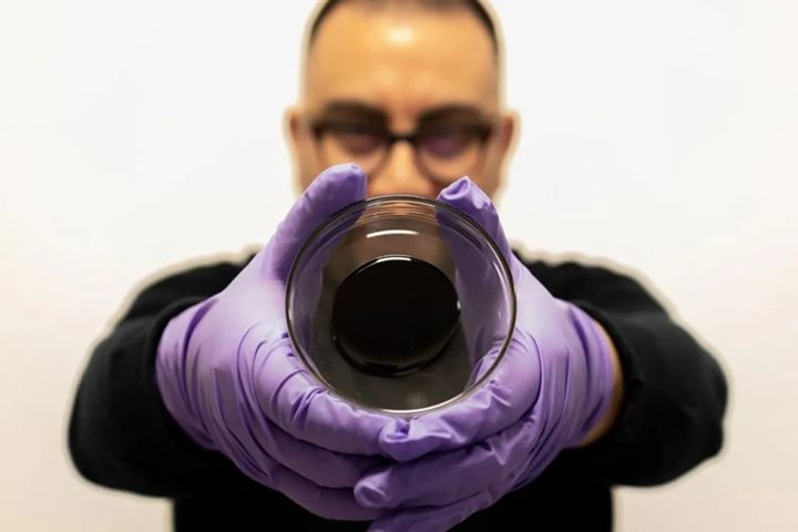 Self-healing asphalt uses plant spores to keep potholes from forming