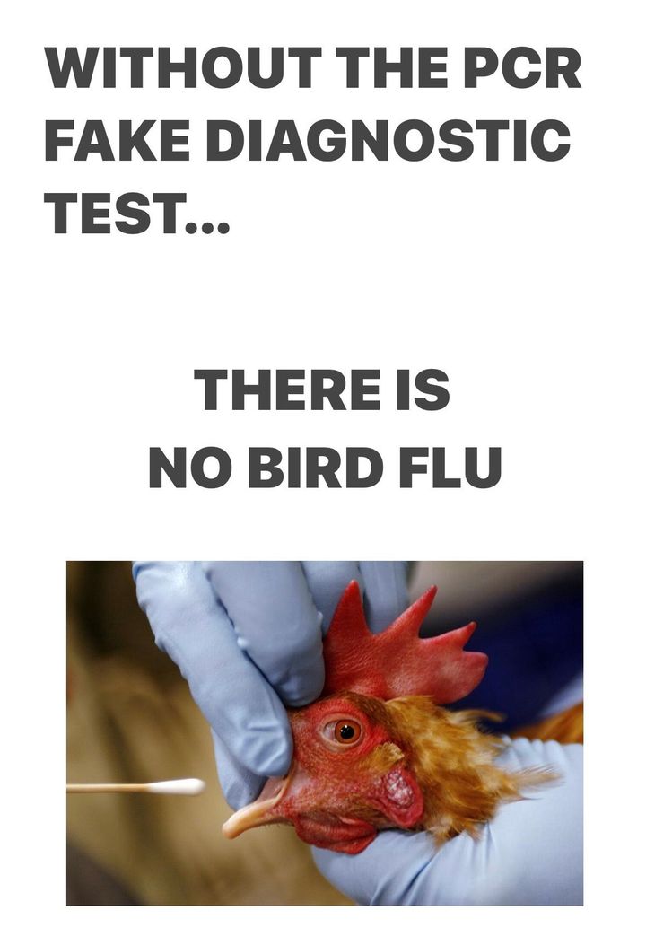 Avian flu virus H5N1: No proof for existence, pathogenicity, or pandemic potential; non-“H5N1” causation omitted