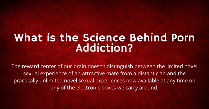 What is the Science Behind Porn Addiction?