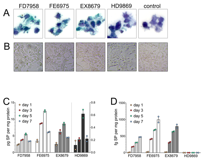 A new paper confirms presence of DNA in COVID-19 shot vials, settles issues pertaining to DNA quantification methods, shows spike persistence and exosomal shuttling (shedding)