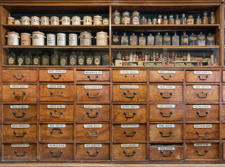 Sayer Ji: They Called it “Alternative.” [Medicine] – It was Always the Original