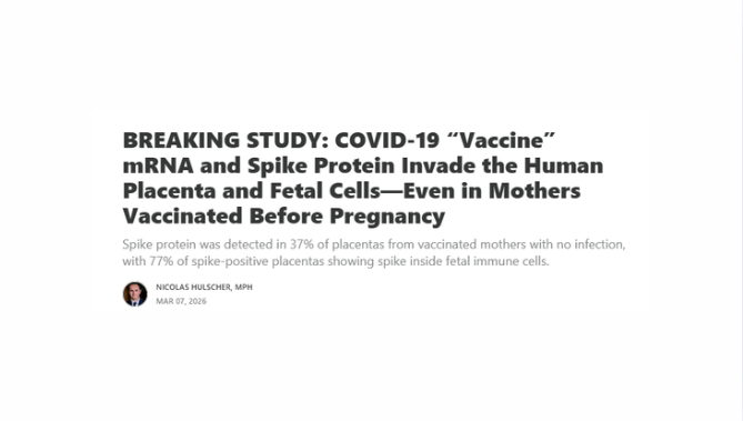 BREAKING STUDY: COVID-19 “Vaccine” mRNA and Spike Protein Invade the Human Placenta and Fetal Cells—Even in Mothers Vaccinated Before Pregnancy