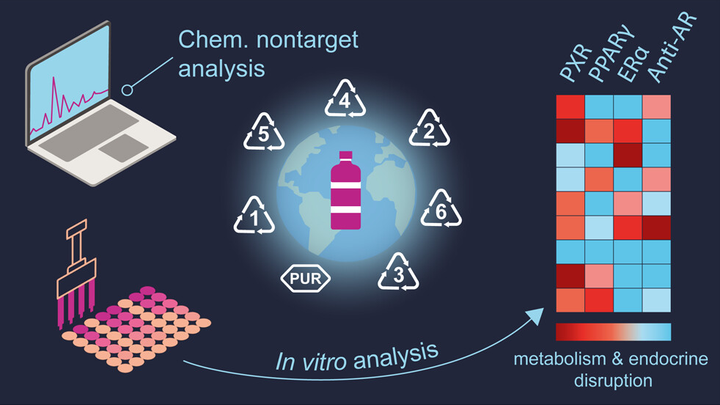 Plastic Food Packaging from Five Countries Contains Endocrine- and Metabolism-Disrupting Chemicals
