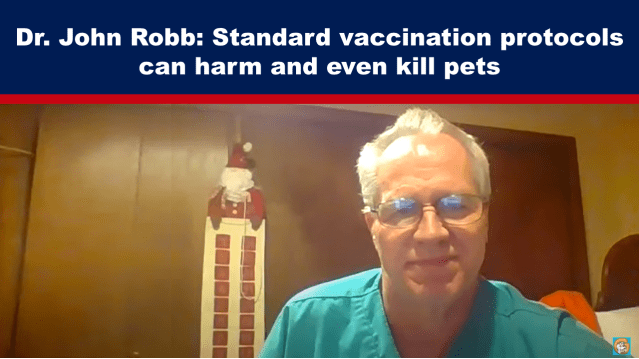 Veterinarian Dr. John Robb: Standard vaccination protocols can harm and even kill pets