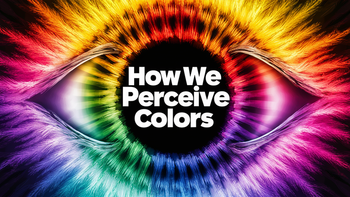 Unlocking The Color Spectrum: A Deep Dive into the Science of Color Perception