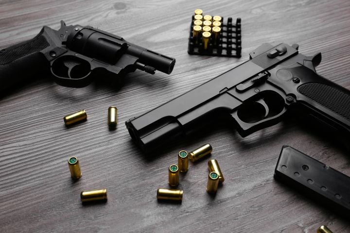 Guns Against the State