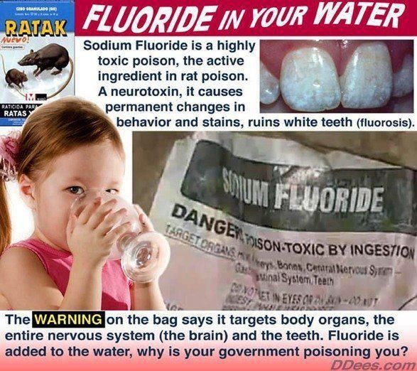 Federal Court Rules That Water Fluoridation Poses an “Unreasonable Risk” to Children