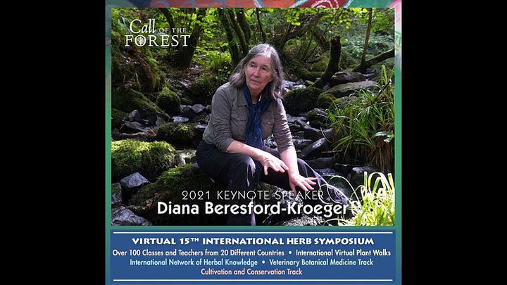 Enhancing Fertility Naturally - (Updated for 2026 with info on how reproductive health is connected with ancient forest ecology)