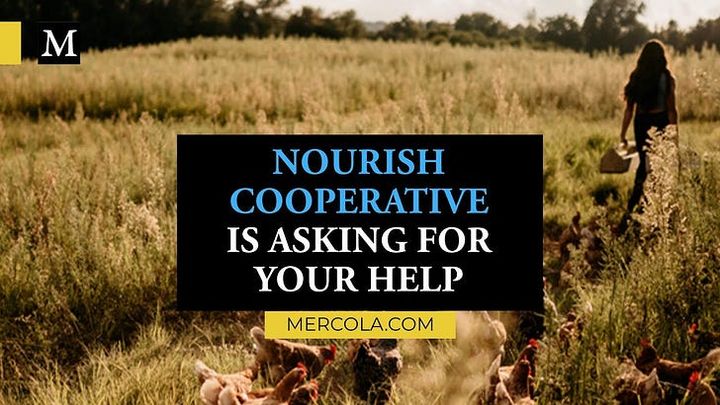 Government Raid Seizes $90,000 of Healthy Food Grown by Nourish Cooperative