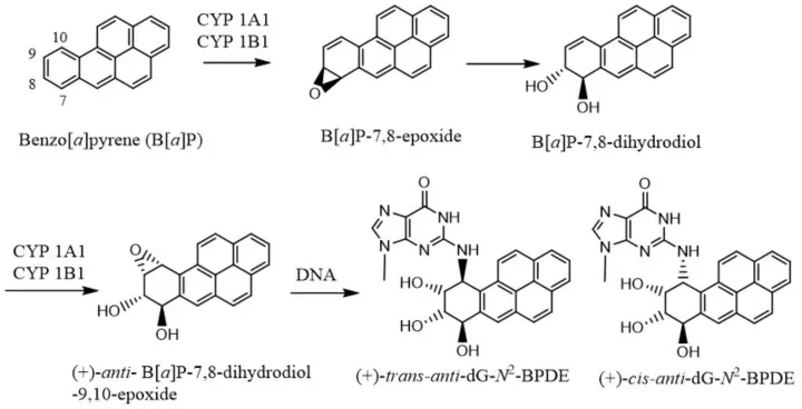 CANCER ALERT: Food dyes damage DNA structure and cause cancer, new study suggests