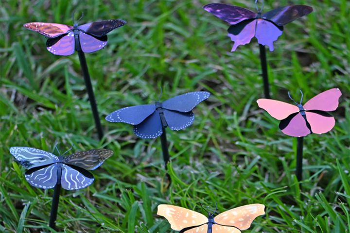 Energy-saving Paint Inspired by Butterflies Needs 0.3% Paint by Weight