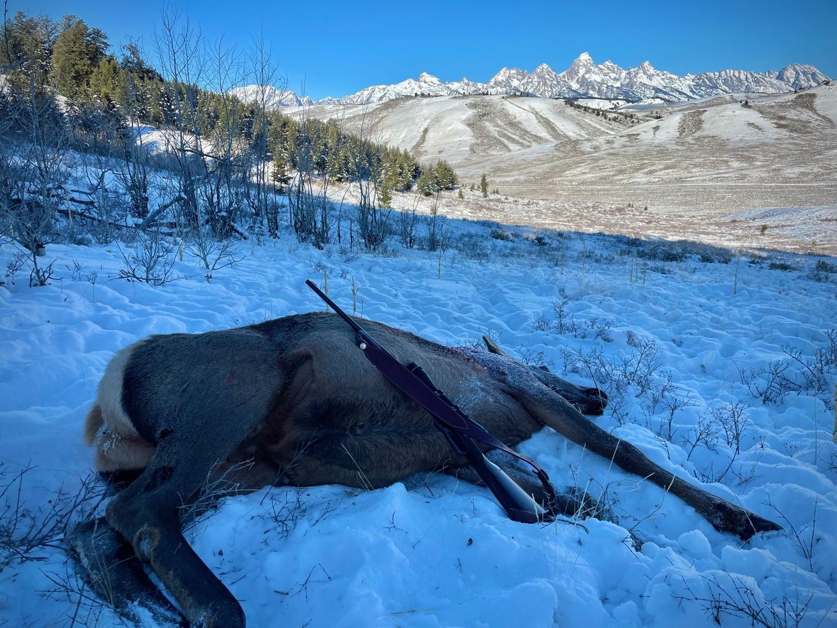 Jackson Hole Elk Hunt – Nat'l Elk Refuge