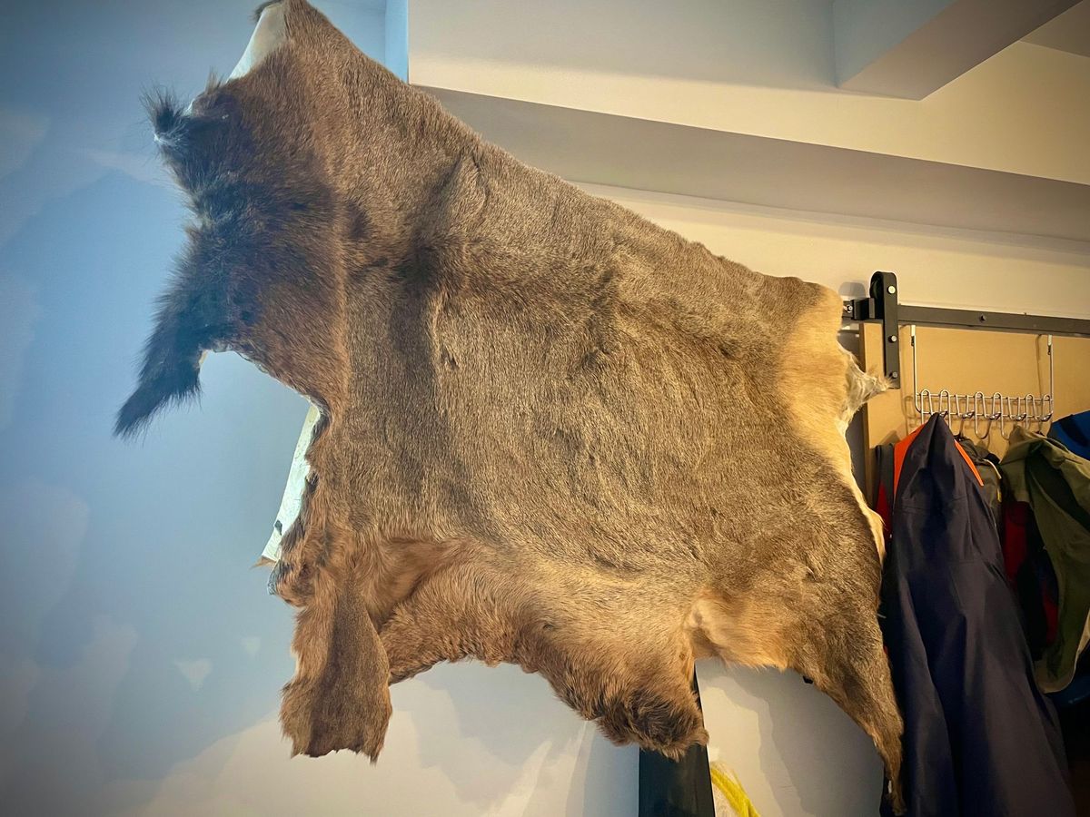 How to Tan an Elk Hide