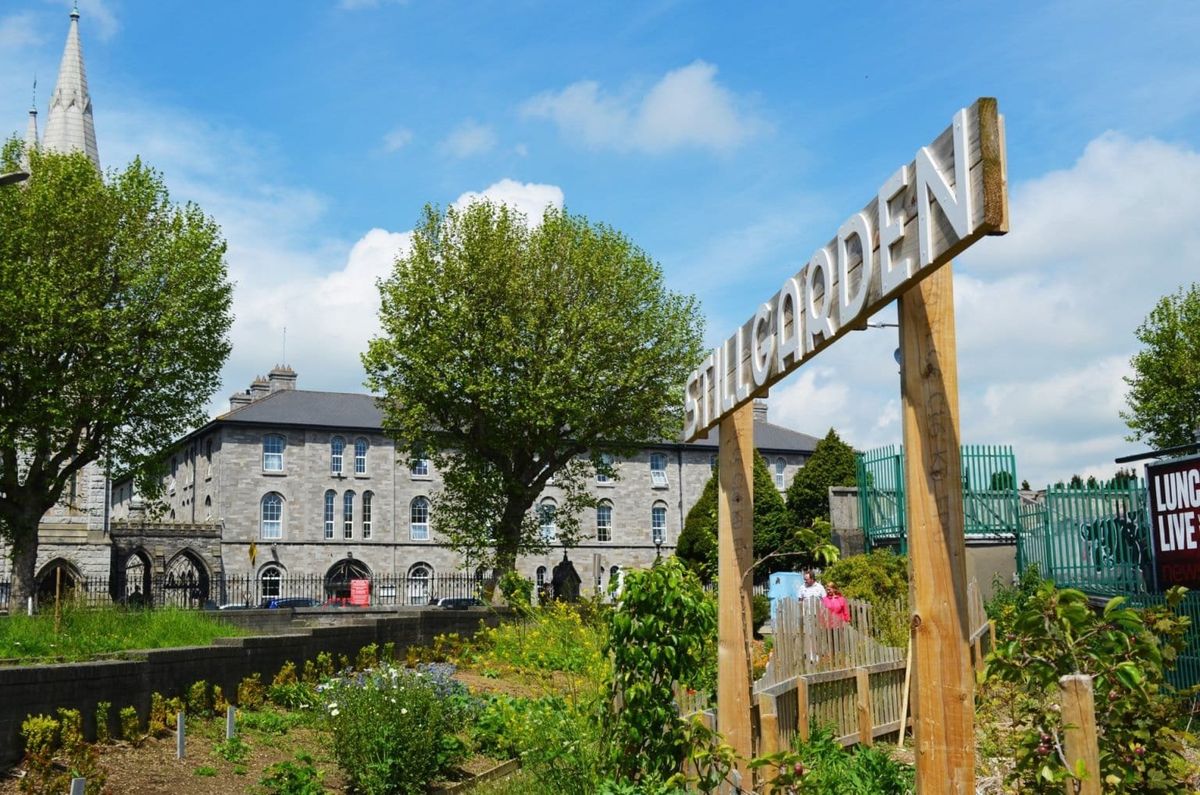 Stillgarden Distillery - Gin Tasting Class