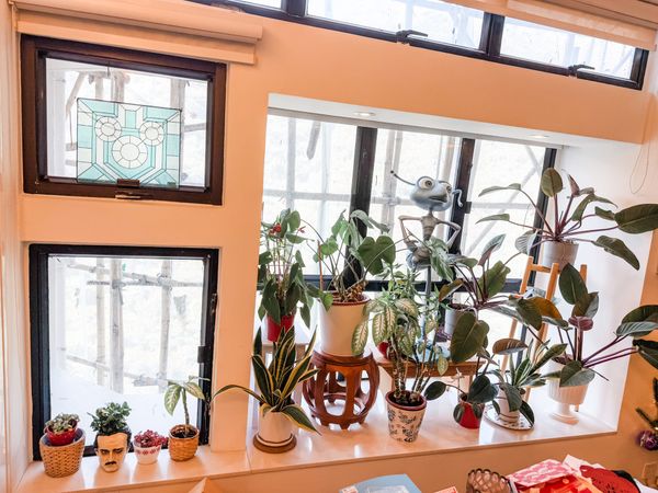 Somewhere That’s Green*