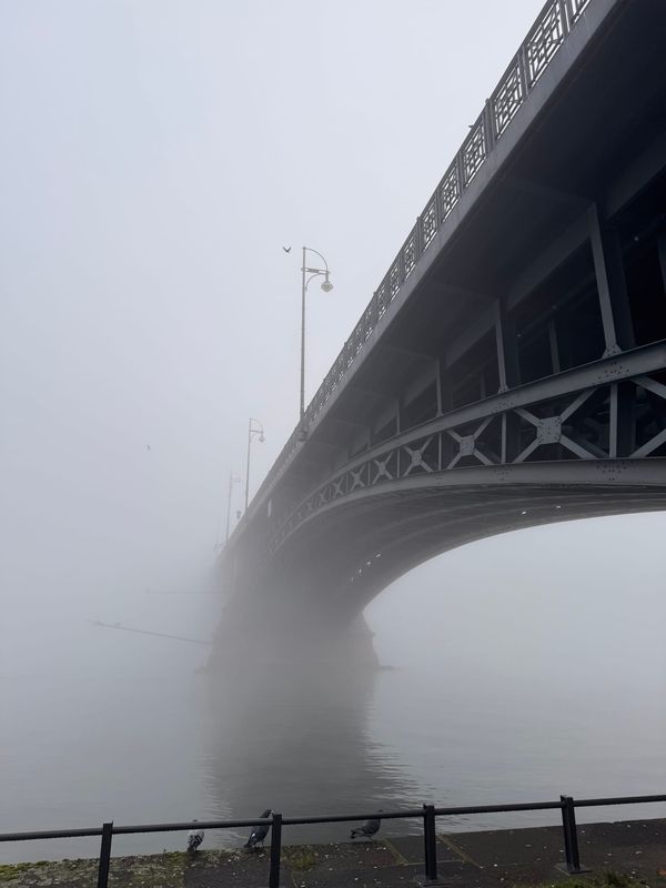 Where is this going?