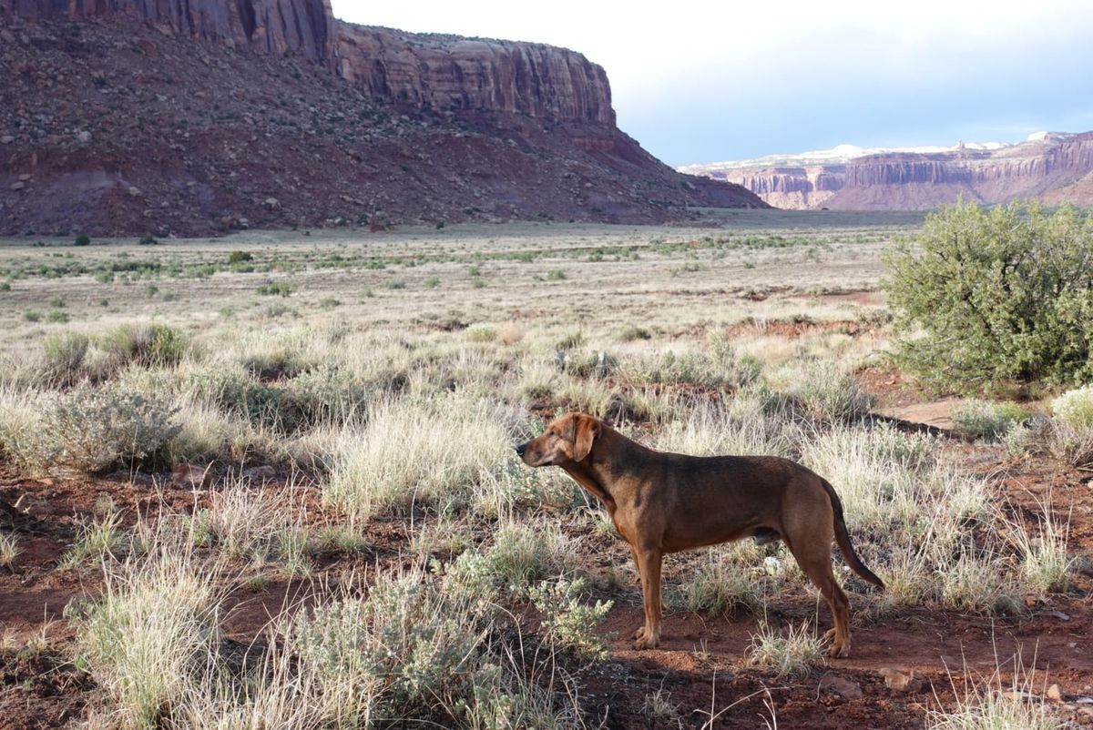 Life Update- Indian Creek (05.05.2025)