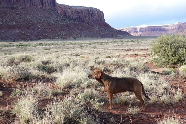 Life Update- Indian Creek (05.05.2025)