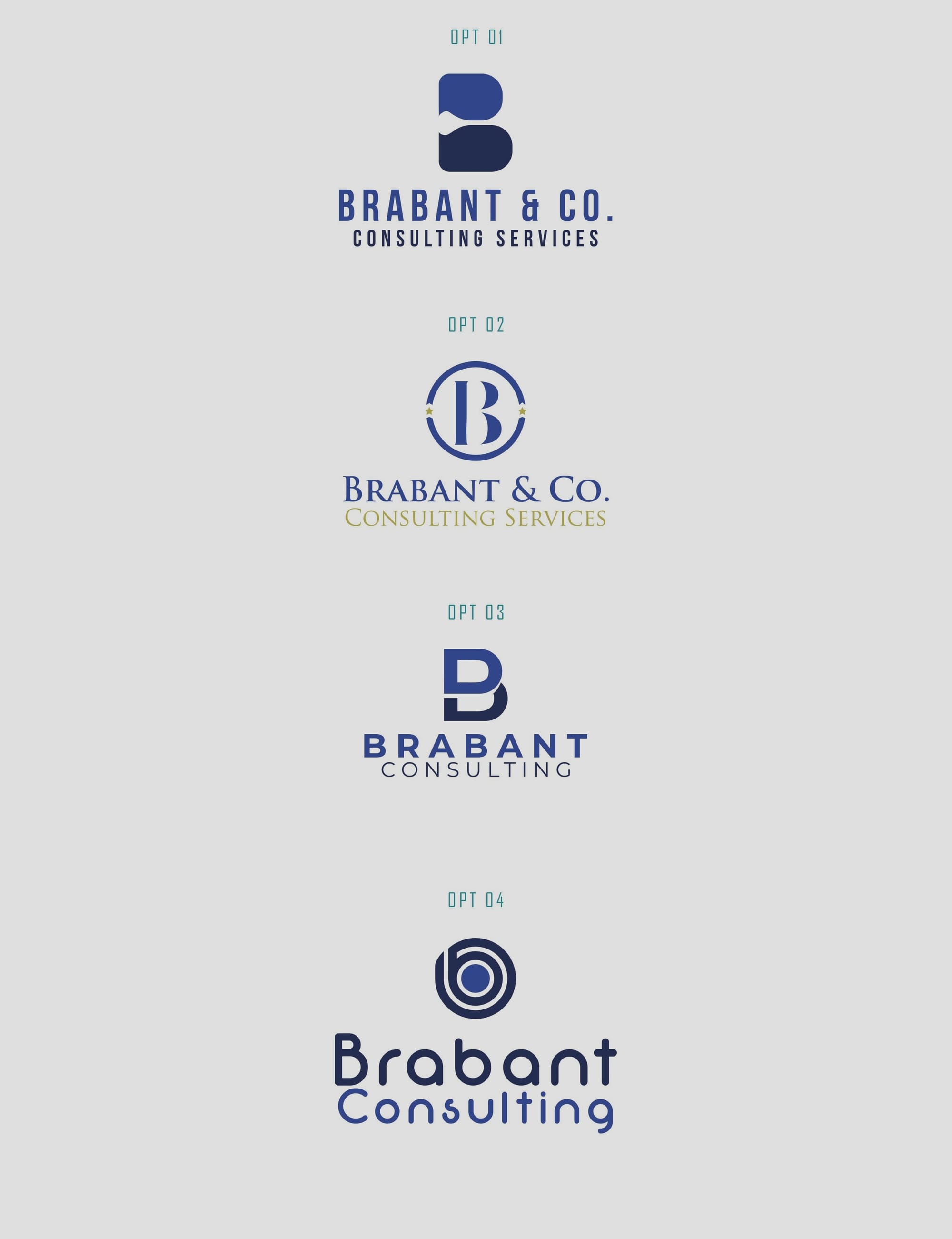 Brabant Consulting Services Logo Options General