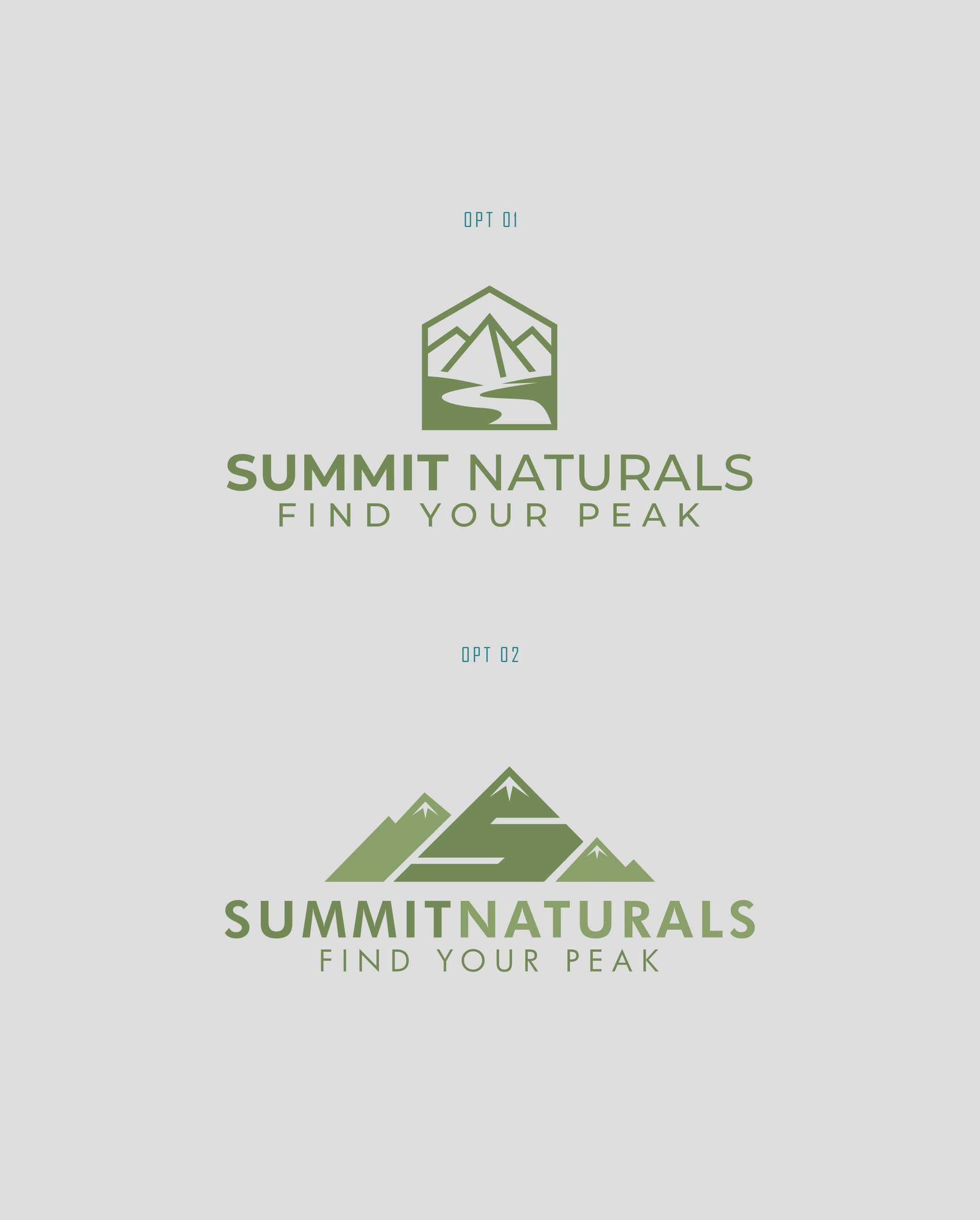 Design Proposal Option 1