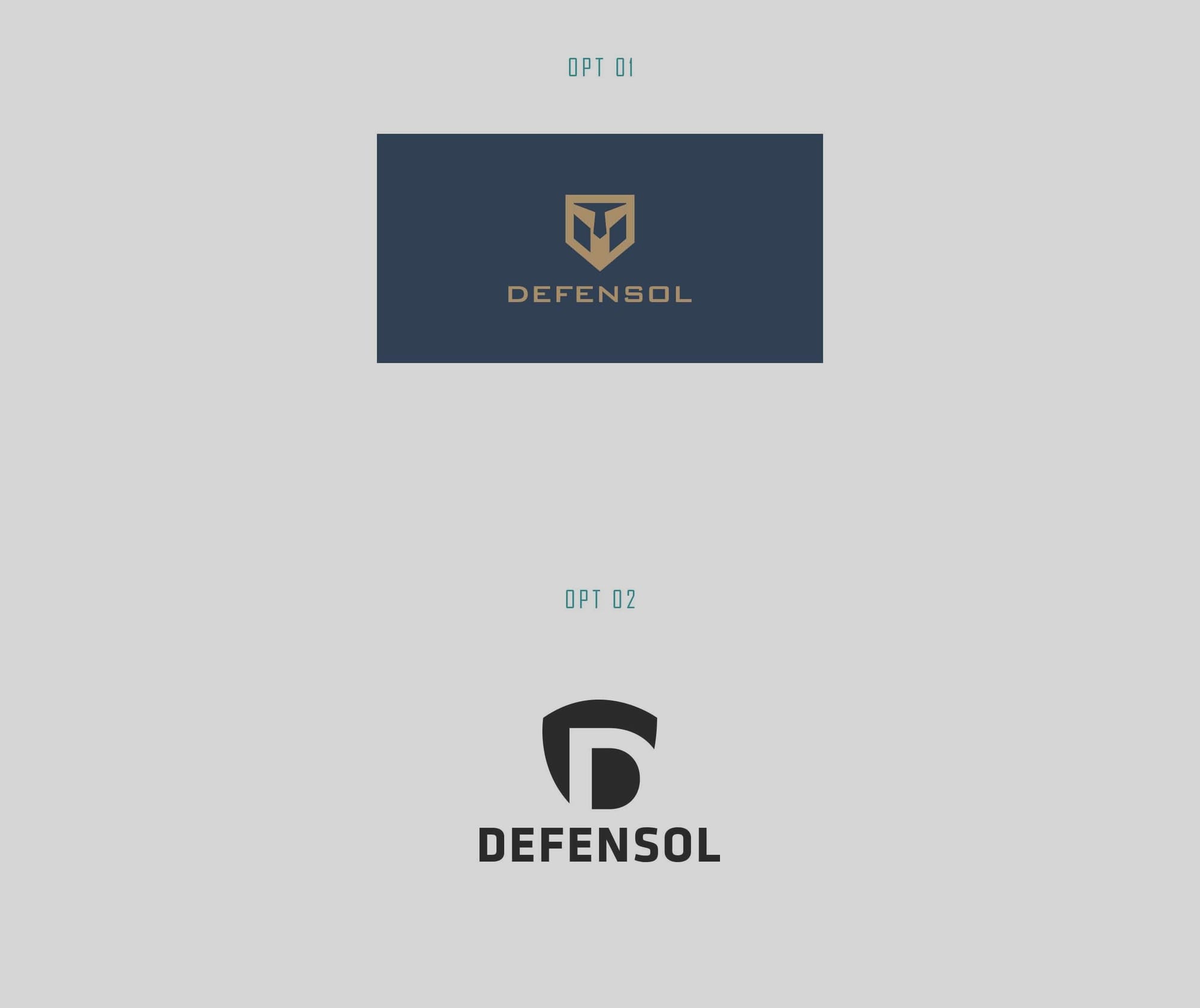 Initial Logo Concepts