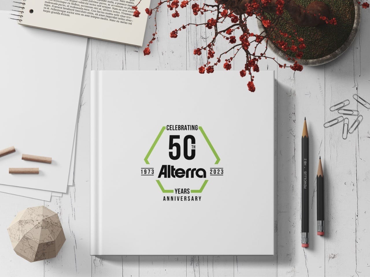 Alterra Logo Option 2 Mockup