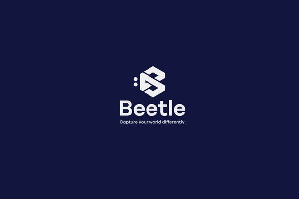 Beetle modern logo design cover image