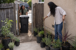 How Sacramento Homeowners Can Plan Landscaping That Fits Real Life