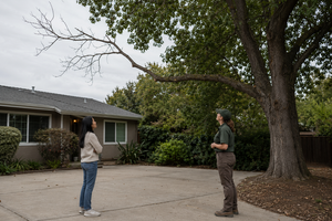 Why Dead Branches Should Not Be Ignored