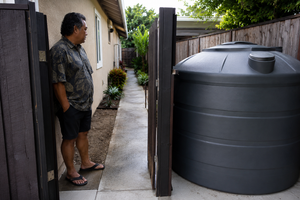 What Can Affect The Cost Of A Rainwater Collection System