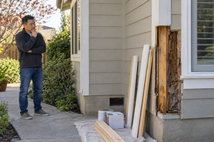 How Dry Rot Repair Usually Works From Diagnosis To Completion