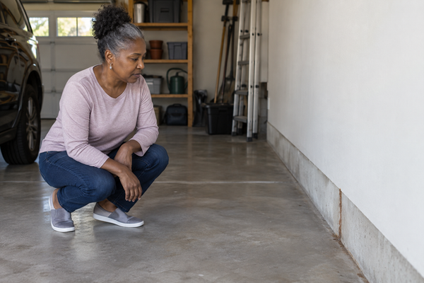 What To Know If You Find Signs Of Termite Activity