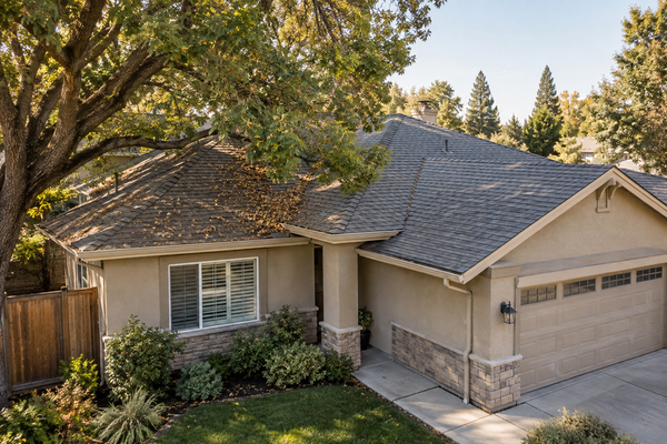 Why Tree Coverage Can Make Roof Cleaning More Important