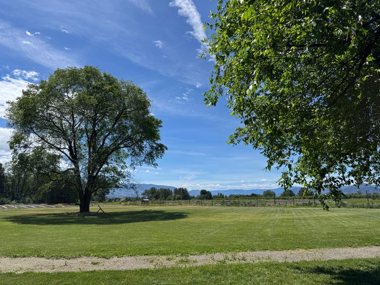 A listening report for Okanagan agriculture