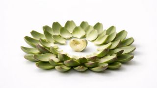 Two Consulting Firms, One Verdict: Stablecoin Payments Are Tiny but Growing Where It Hurts