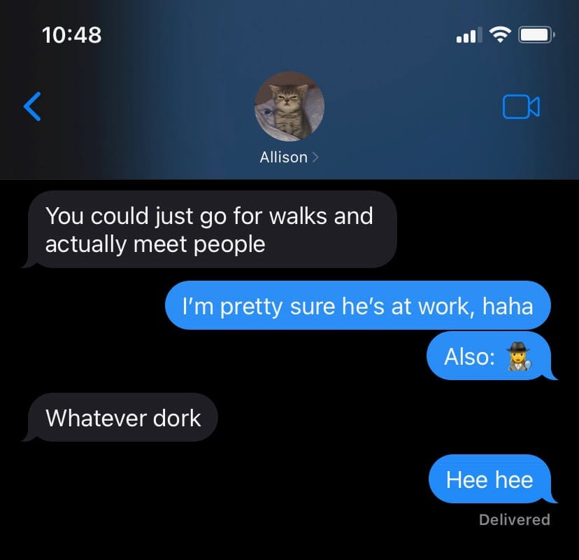 Allison texting me: "you could just go for walks and actually meet people" me: "I'm pretty sure he's at work" followed by the spy emoji. Allison: "whatever, dork" 