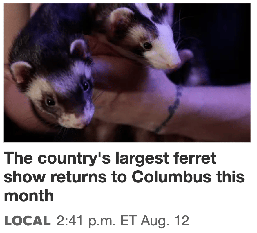 The country's largest ferret show returns to Columbus this month