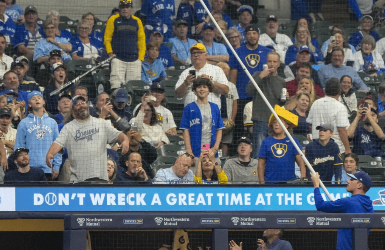 bat stuck in newtting while someone with the Blue Jays tries to get it down with a long pole