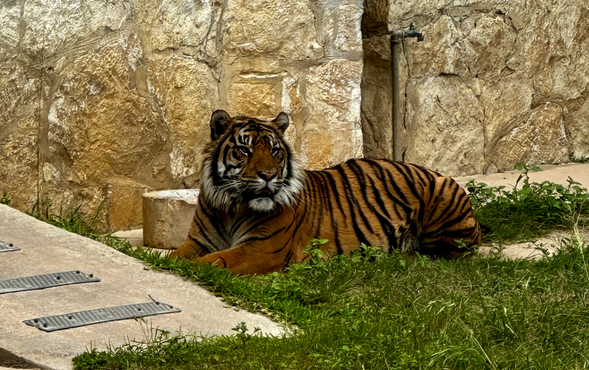 Cup of Coffee: April 16, 2025