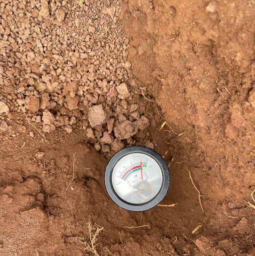 Sampling soil health