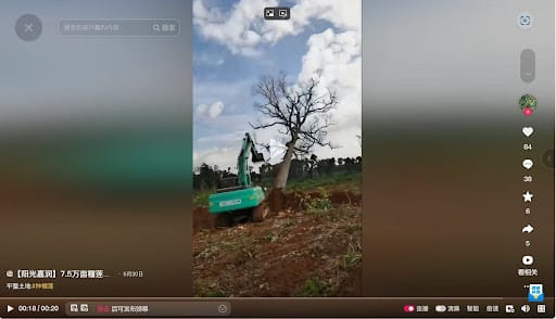 Screengrab of video.