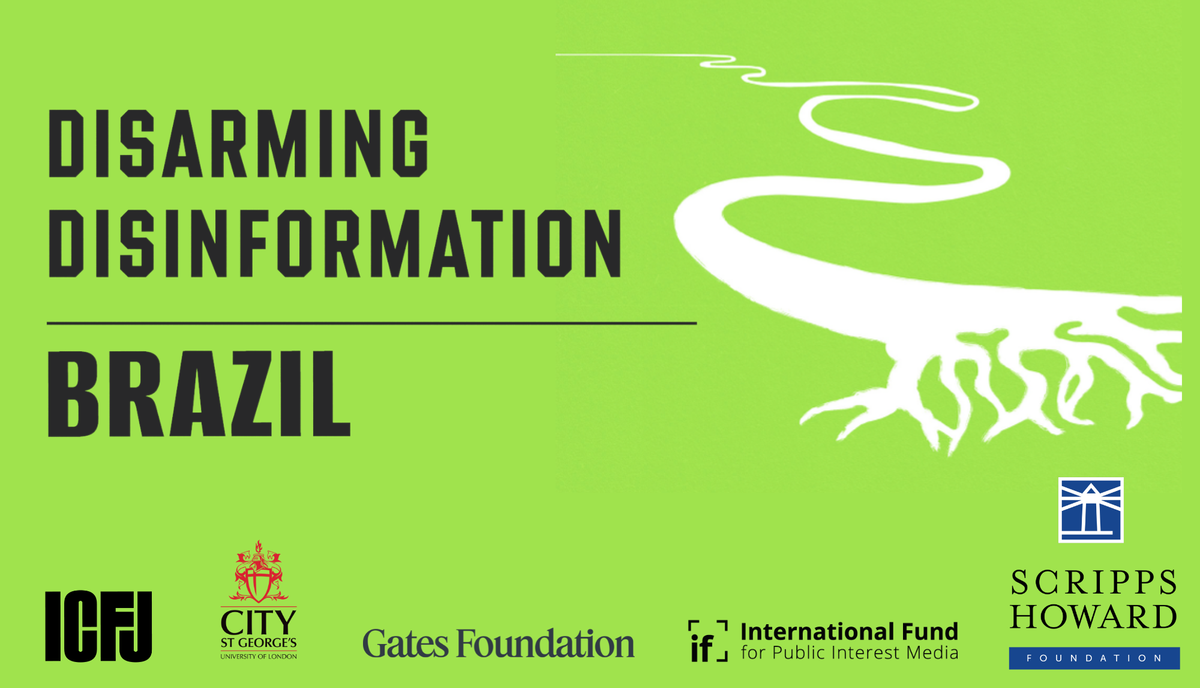 Disarming Disinformation report cover image