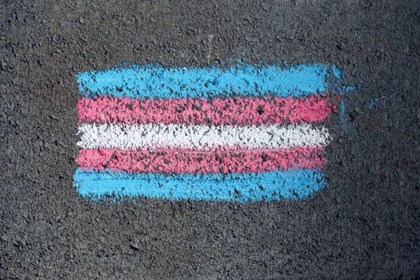 Trans flag