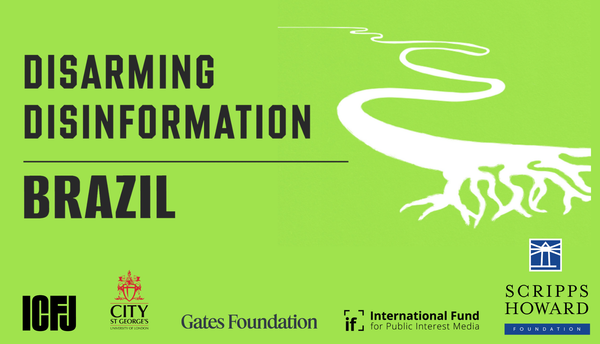 Disarming Disinformation report cover image