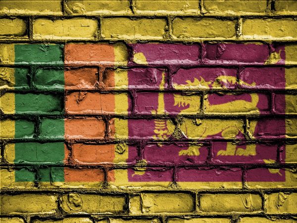 Sri Lanka flag on brick background