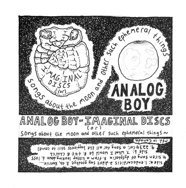I'm just redneck as shit: Analog Boy discuss queer country and their new album, Imaginal Discs
