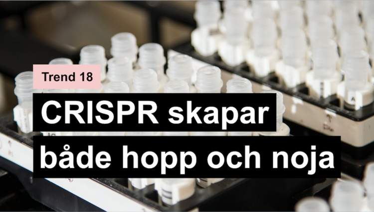 CRISPR skapar både hopp och noja
