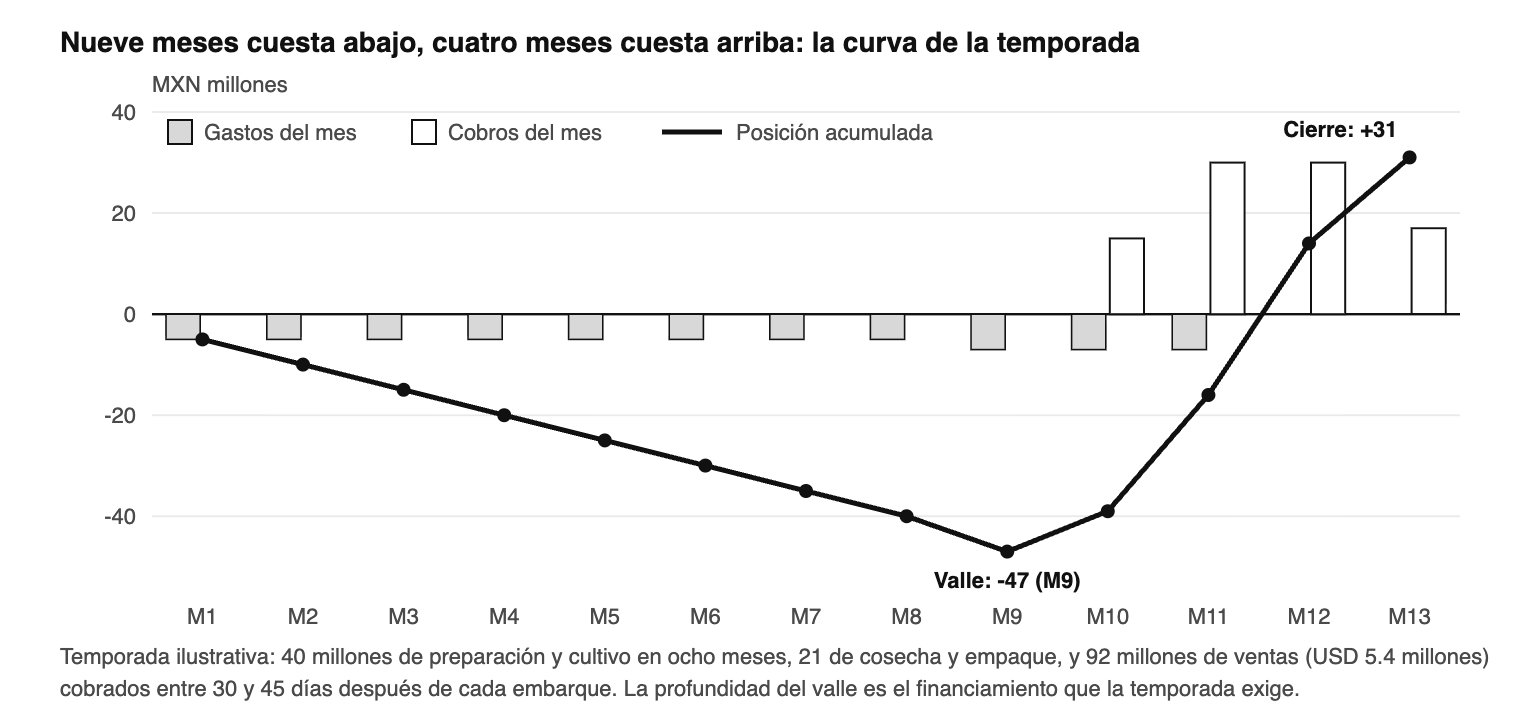 La curva de caja de una temporada ilustrativa. El punto más bajo llega cuando la cosecha ya está en marcha y los cobros 