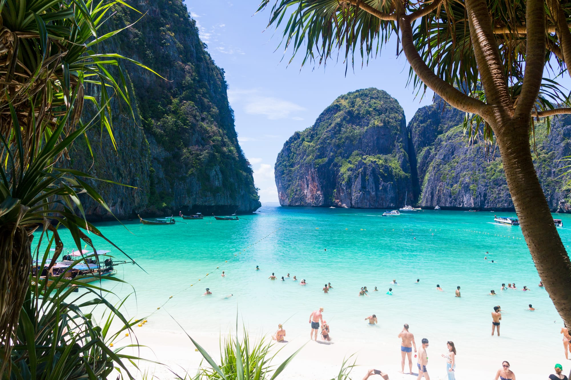 Phi Phi turquoise beach