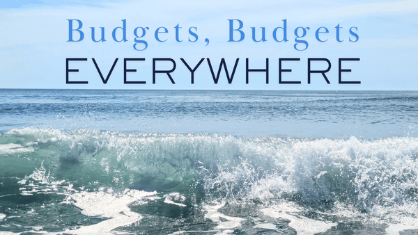 County Beacon Newsletter # 9: Budgets, Budgets Everywhere